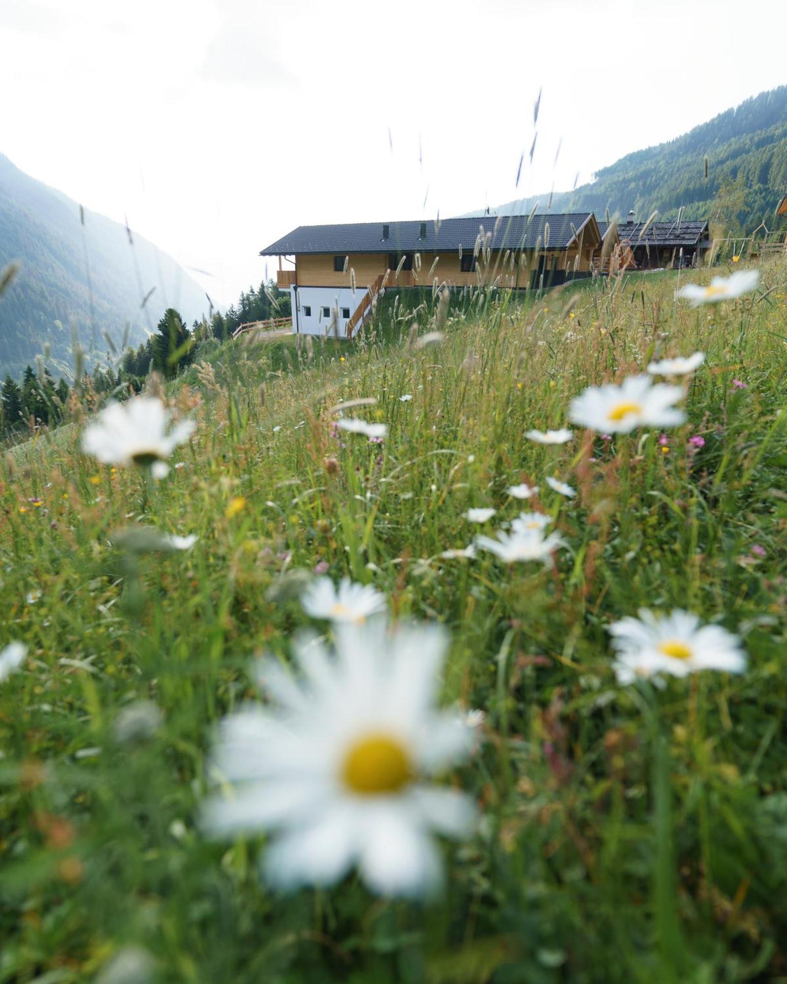 Blosegghof Bergchalets Waldblick ラチーネス エクステリア 写真